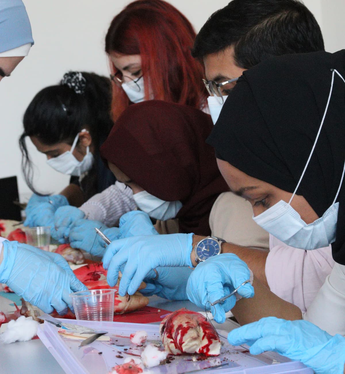 Medical students collaborating